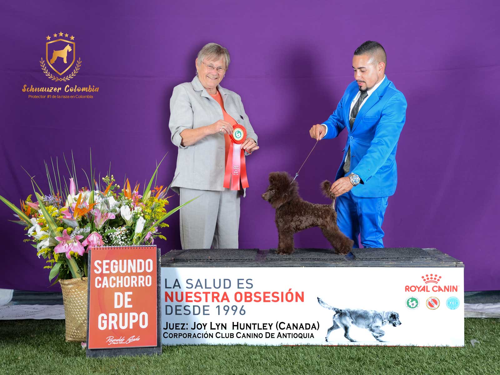 Schnauzer colombia, comprar schnauzer puro, Yeiner Mayo, Criadores de schnauzer en Colombia, Cuidados del schnauzer, Entrenamiento de schnauzer, Alimentación para schnauzers colombianos, Schnauzer miniatura en Colombia, Schnauzer gigante colombia, Schnauzer blanco colombia, Schnauzer negro colombia, Schnauzer sal y pimienta colombia, Historia del schnauzer, Características del schnauzer, Temperamento del schnauzer, Salud del schnauzer en Colombia, Veterinarios especializados en schnauzers en Colombia, Schnauzer cachorro colombia, Adopción y compra de schnauzer en Colombia, Schnauzer estándar colombia, Peluquería para schnauzers en Colombia, Accesorios para schnauzers colombianos