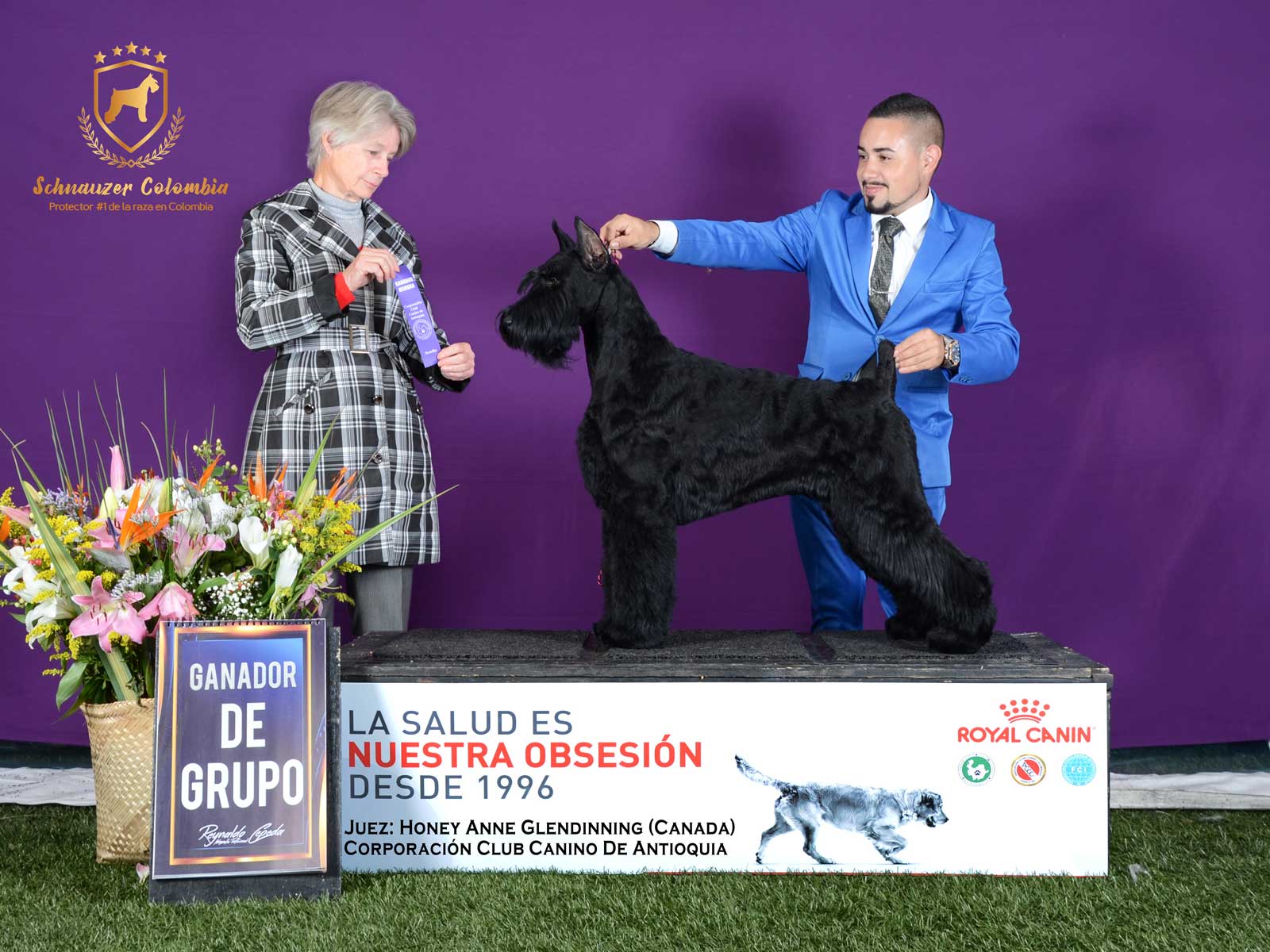 Schnauzer colombia, comprar schnauzer puro, Yeiner Mayo, Criadores de schnauzer en Colombia, Cuidados del schnauzer, Entrenamiento de schnauzer, Alimentación para schnauzers colombianos, Schnauzer miniatura en Colombia, Schnauzer gigante colombia, Schnauzer blanco colombia, Schnauzer negro colombia, Schnauzer sal y pimienta colombia, Historia del schnauzer, Características del schnauzer, Temperamento del schnauzer, Salud del schnauzer en Colombia, Veterinarios especializados en schnauzers en Colombia, Schnauzer cachorro colombia, Adopción y compra de schnauzer en Colombia, Schnauzer estándar colombia, Peluquería para schnauzers en Colombia, Accesorios para schnauzers colombianos