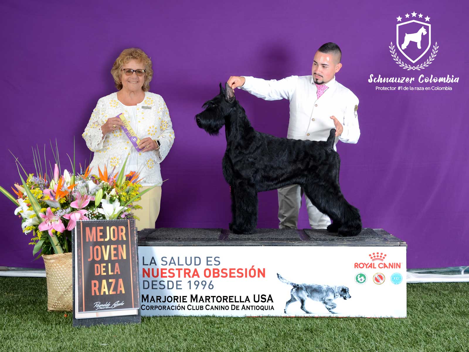 Schnauzer colombia, comprar schnauzer puro, Yeiner Mayo, Criadores de schnauzer en Colombia, Cuidados del schnauzer, Entrenamiento de schnauzer, Alimentación para schnauzers colombianos, Schnauzer miniatura en Colombia, Schnauzer gigante colombia, Schnauzer blanco colombia, Schnauzer negro colombia, Schnauzer sal y pimienta colombia, Historia del schnauzer, Características del schnauzer, Temperamento del schnauzer, Salud del schnauzer en Colombia, Veterinarios especializados en schnauzers en Colombia, Schnauzer cachorro colombia, Adopción y compra de schnauzer en Colombia, Schnauzer estándar colombia, Peluquería para schnauzers en Colombia, Accesorios para schnauzers colombianos