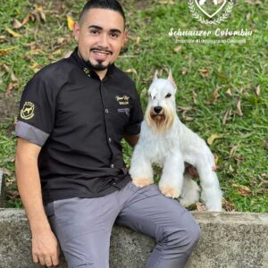 Schnauzer colombia, comprar schnauzer puro, Yeiner Mayo, Criadores de schnauzer en Colombia, Cuidados del schnauzer, Entrenamiento de schnauzer, Alimentación para schnauzers colombianos, Schnauzer miniatura en Colombia, Schnauzer gigante colombia, Schnauzer blanco colombia, Schnauzer negro colombia, Schnauzer sal y pimienta colombia, Historia del schnauzer, Características del schnauzer, Temperamento del schnauzer, Salud del schnauzer en Colombia, Veterinarios especializados en schnauzers en Colombia, Schnauzer cachorro colombia, Adopción y compra de schnauzer en Colombia, Schnauzer estándar colombia, Peluquería para schnauzers en Colombia, Accesorios para schnauzers colombianos