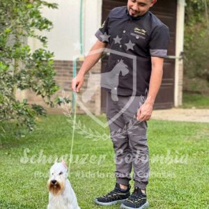 Schnauzer colombia, comprar schnauzer puro, Yeiner Mayo, Criadores de schnauzer en Colombia, Cuidados del schnauzer, Entrenamiento de schnauzer, Alimentación para schnauzers colombianos, Schnauzer miniatura en Colombia, Schnauzer gigante colombia, Schnauzer blanco colombia, Schnauzer negro colombia, Schnauzer sal y pimienta colombia, Historia del schnauzer, Características del schnauzer, Temperamento del schnauzer, Salud del schnauzer en Colombia, Veterinarios especializados en schnauzers en Colombia, Schnauzer cachorro colombia, Adopción y compra de schnauzer en Colombia, Schnauzer estándar colombia, Peluquería para schnauzers en Colombia, Accesorios para schnauzers colombianos