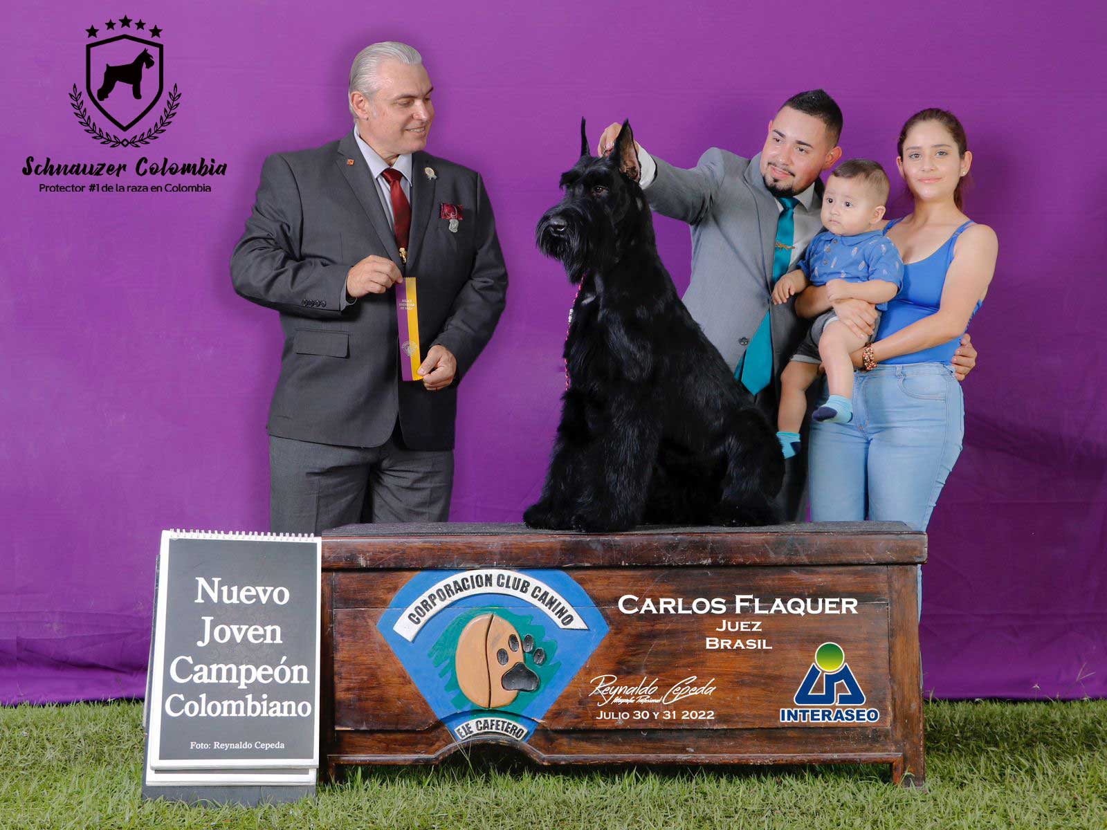 Schnauzer colombia, comprar schnauzer puro, Yeiner Mayo, Criadores de schnauzer en Colombia, Cuidados del schnauzer, Entrenamiento de schnauzer, Alimentación para schnauzers colombianos, Schnauzer miniatura en Colombia, Schnauzer gigante colombia, Schnauzer blanco colombia, Schnauzer negro colombia, Schnauzer sal y pimienta colombia, Historia del schnauzer, Características del schnauzer, Temperamento del schnauzer, Salud del schnauzer en Colombia, Veterinarios especializados en schnauzers en Colombia, Schnauzer cachorro colombia, Adopción y compra de schnauzer en Colombia, Schnauzer estándar colombia, Peluquería para schnauzers en Colombia, Accesorios para schnauzers colombianos